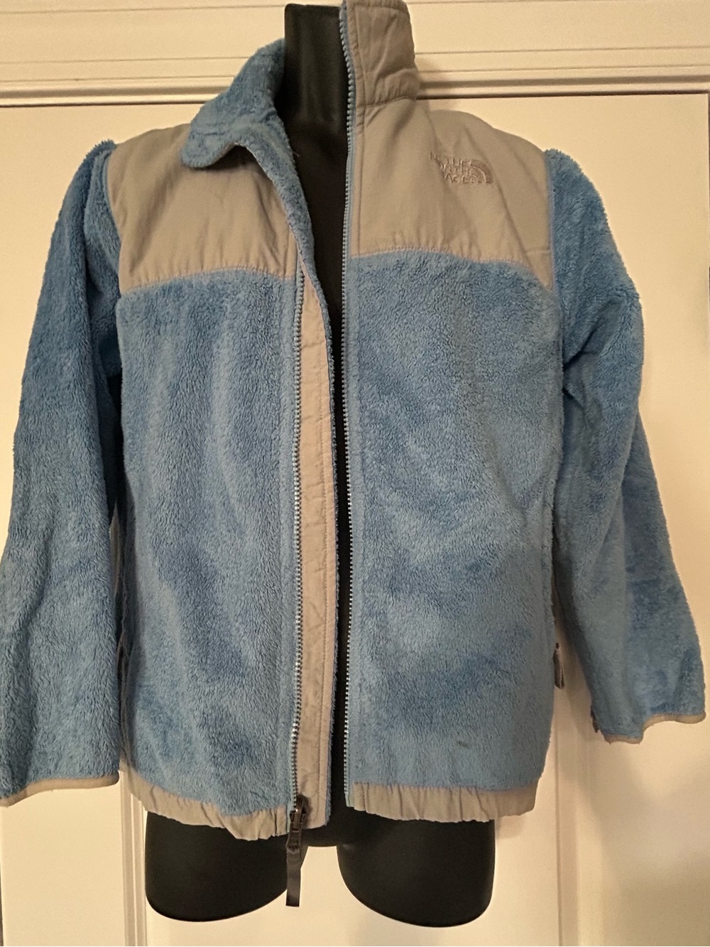 The North Face Light Blue & Light Gray Kids Fleece Jacket